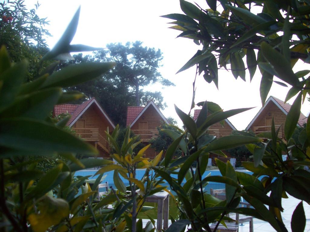 Woodline Hotel Goynuk  ภายนอก รูปภาพ