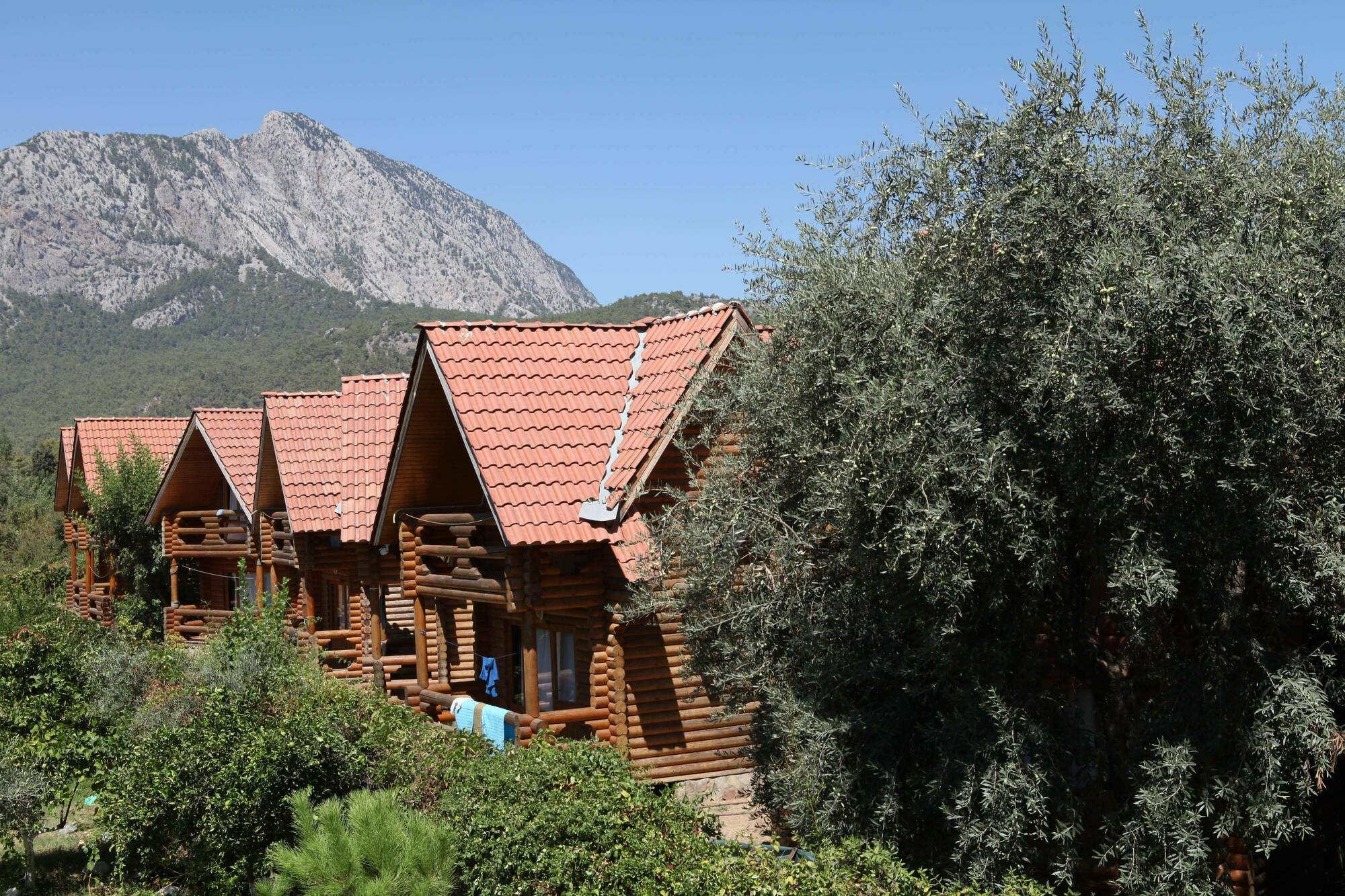 Woodline Hotel Goynuk  ภายนอก รูปภาพ