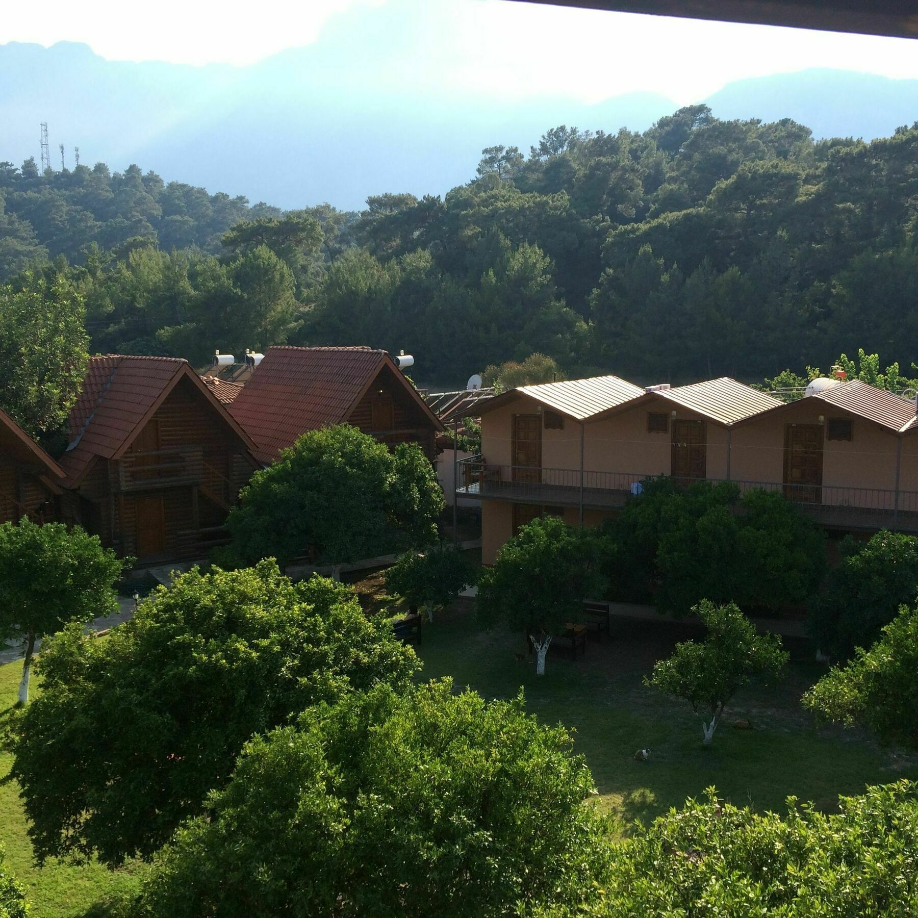 Woodline Hotel Goynuk  ภายนอก รูปภาพ